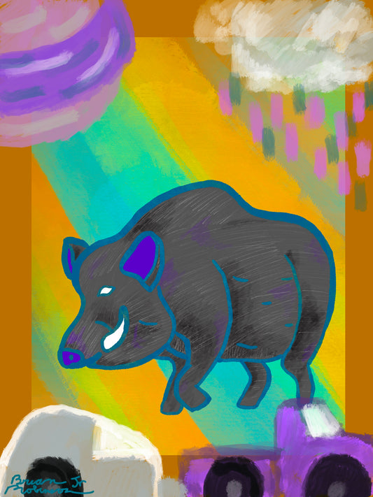 Boars Dream - BKC C.A.S.H.