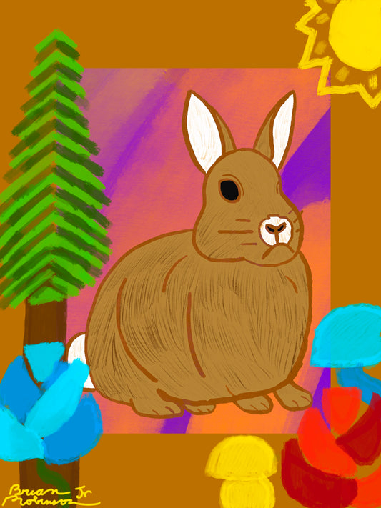 Rabbits Dream - BKC C.A.S.H.