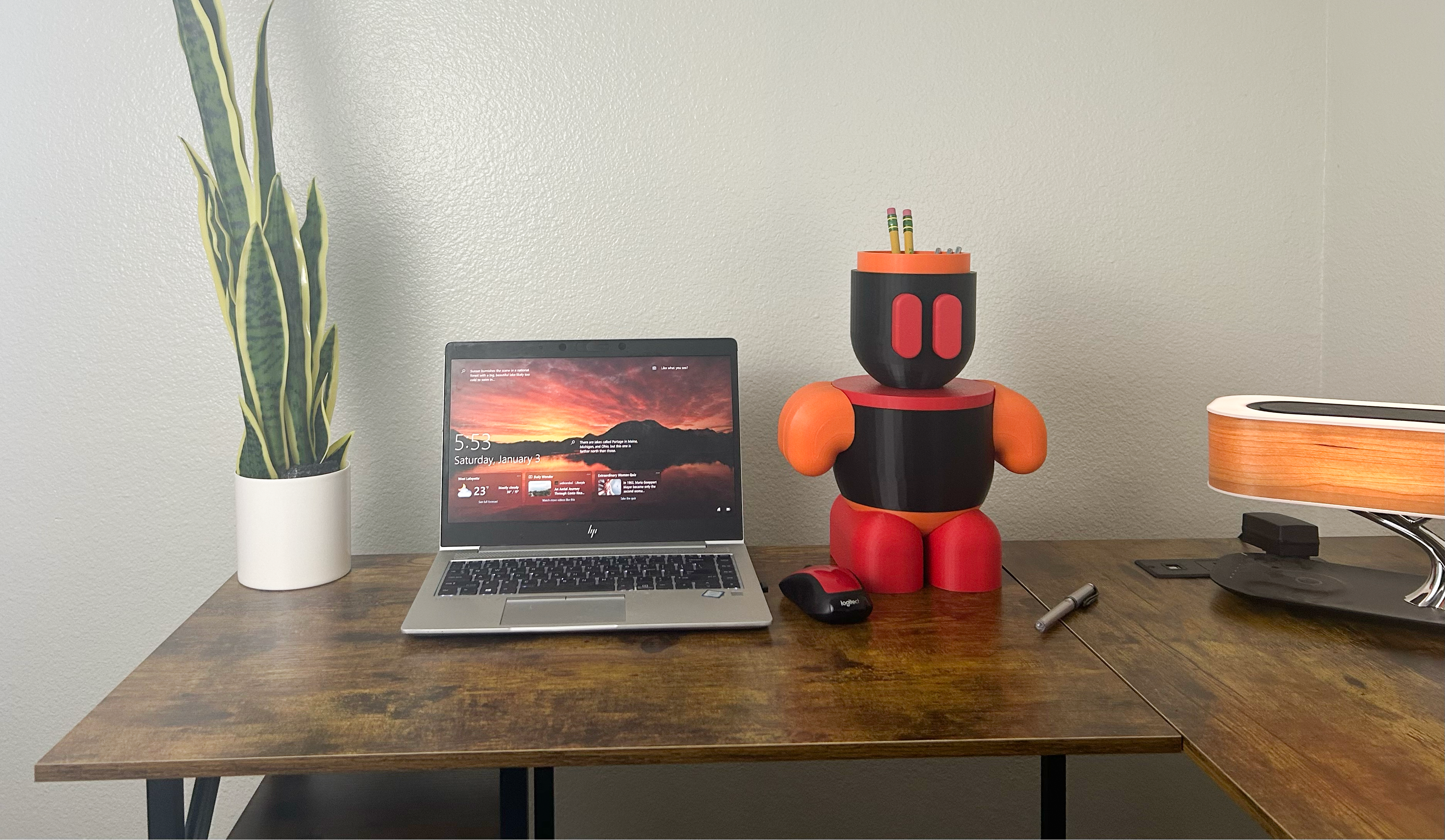 Laptop on a wooden desk with a plant and decorative Toto Prime.